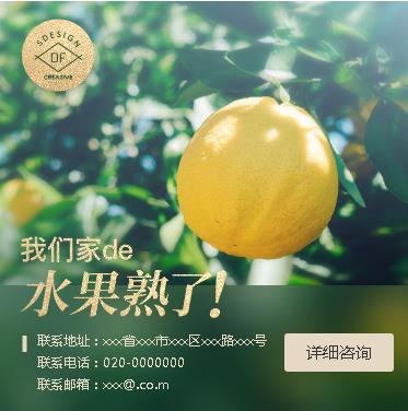 和龙果园果林小程序开发